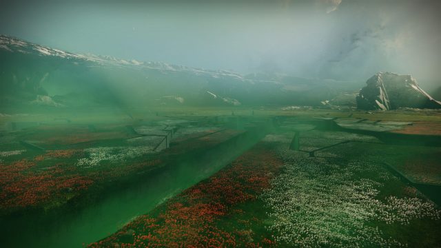 The Black Garden in Destiny 2.