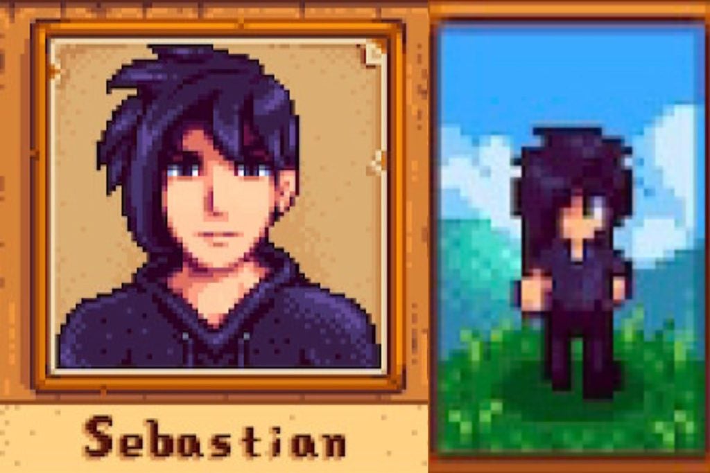 Sebastian in Stardew Valley.