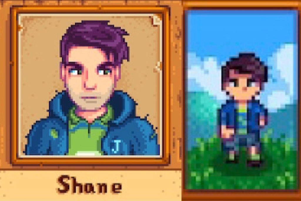 Shane in Stardew Valley.