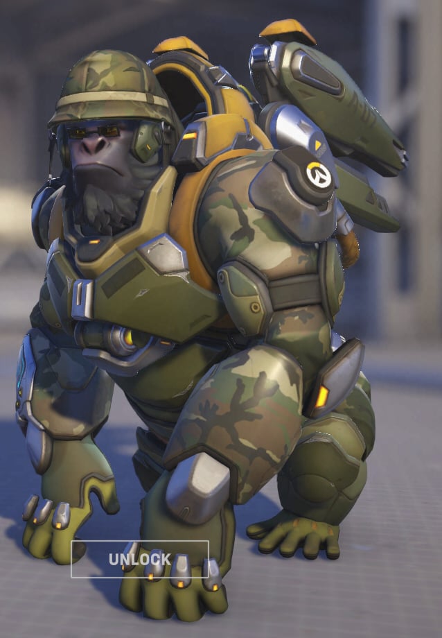 Winston wears a camo soldier's skin.