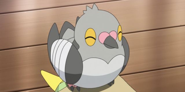 Pidove bird Pokémon from the anime.