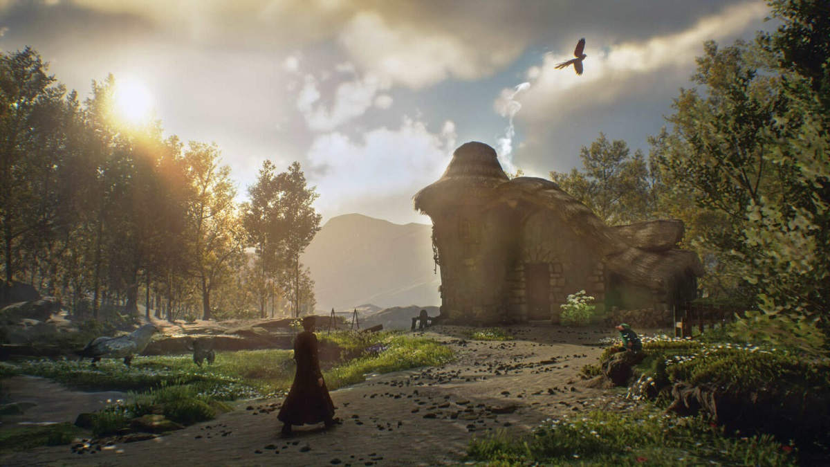 An image of a wizard standing in front of a castle in hogwarts legacy