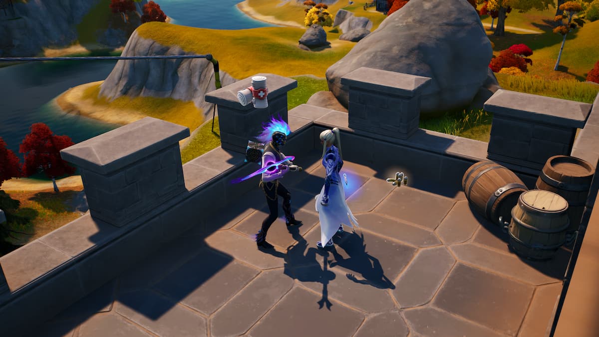 A screenshot of two characters in Fortnite.