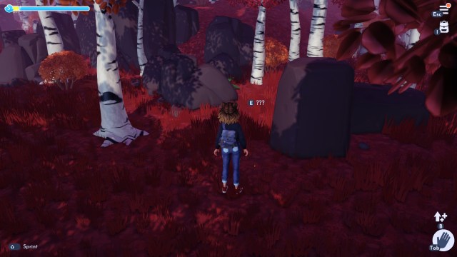 The player looking at a pebble in the woods of the Frozen Realm.