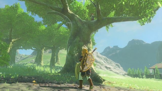 Link looking up at Pyper standing atop a tree in Tears of the Kingdom.