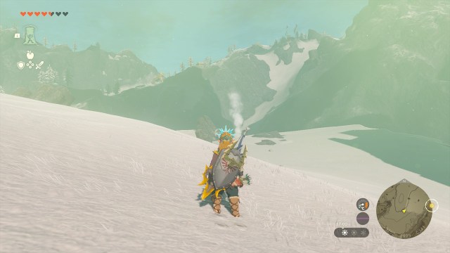 Link looking at a trail of smoke in the distance