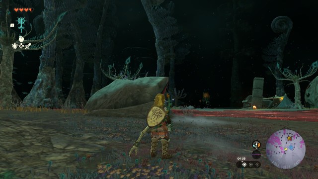 Photo of Link in the Depths