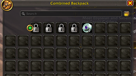 Image is showing tidy bags in WoW Dragonflight.