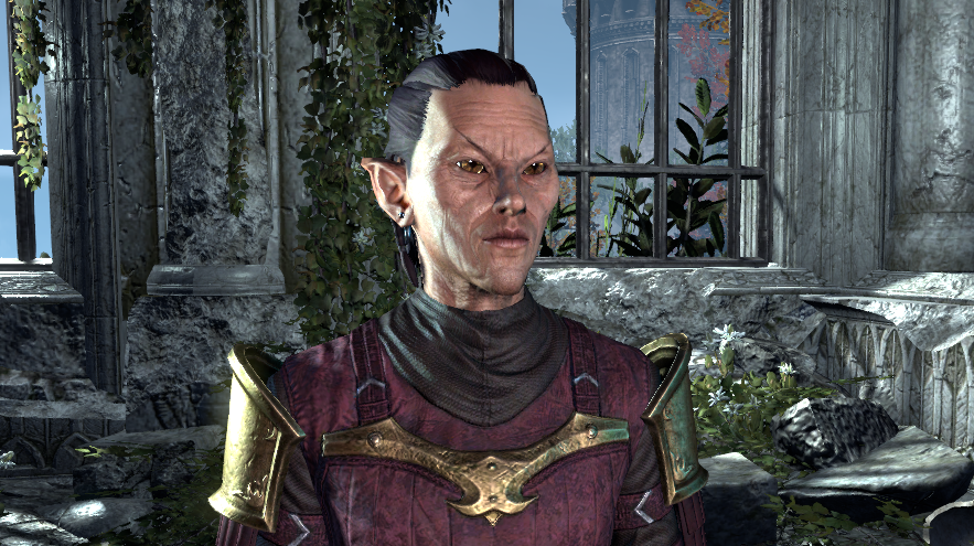 A Nightblde Wood Elf wearing Champion Gear in the character cration menu in ESO.