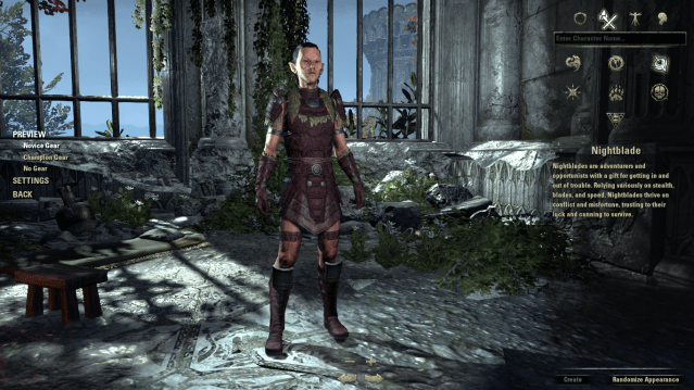 A Nightblde Wood Elf wearing Novice Gear in the character creation menu in ESO.