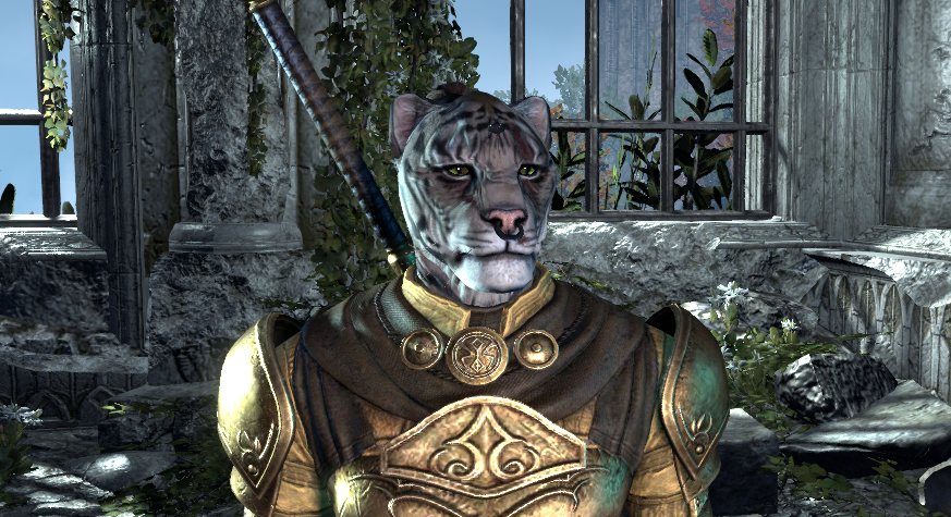 A grey and white Templar Khajiit wearing the Champion Gear in the character creation menu in ESO.