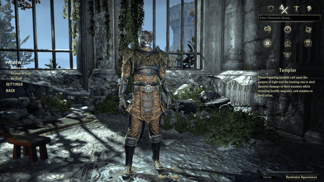 A Templar Khajiit wearing the Novice Gear in the character creation menu in ESO.