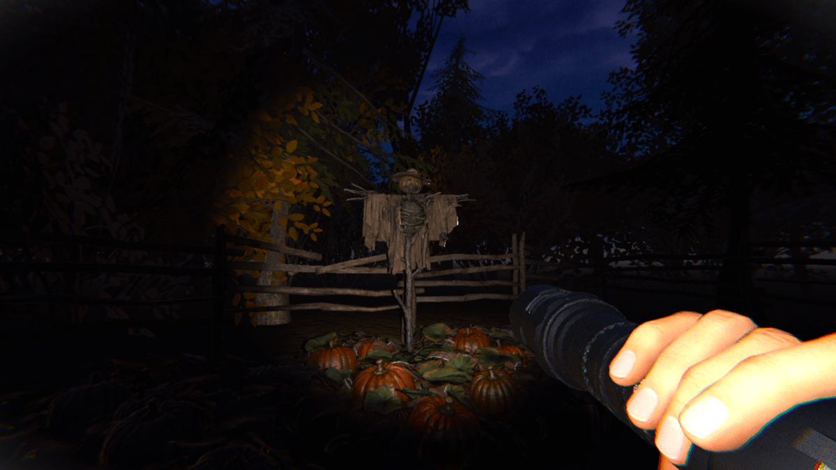 A scarecrow in front of some pumpkins outside of Grafton Farmhouse.