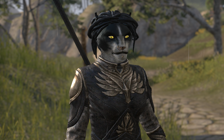 Ember is a Khajiit Sorcerer.