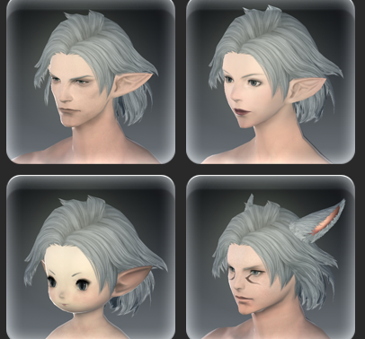 Screenshot showing the same hairstyle on four different races from FFXIV.