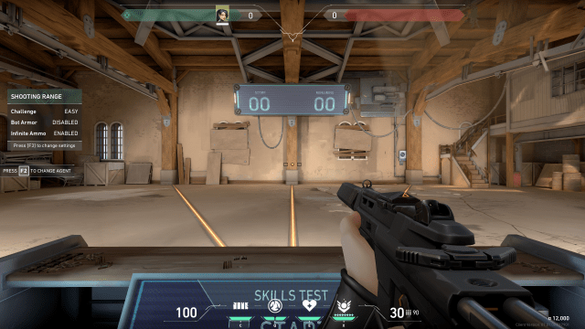 A screenshot of the penguin crosshair in VALORANT's shooting range