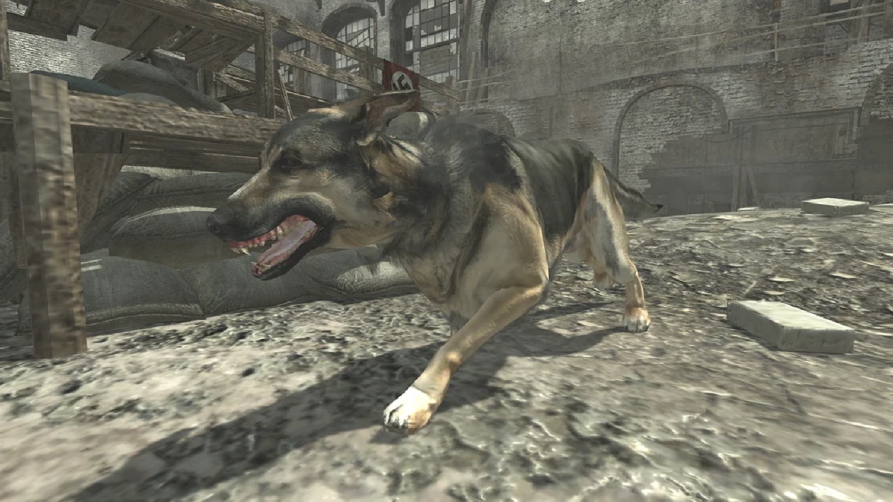 A dog is poised and snarling. There are wrecked objects behind it, inside a building.