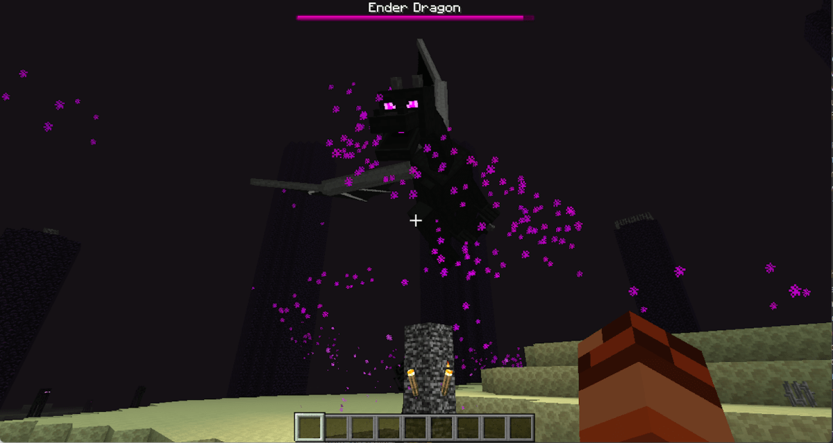 Ender Dragon Minecraft