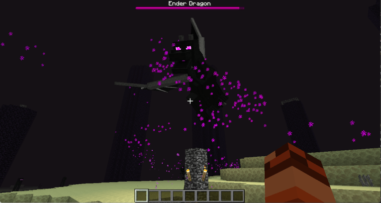 Ender Dragon Minecraft