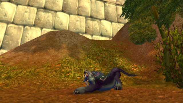 WoW Classic Druid stretching in Stormwind