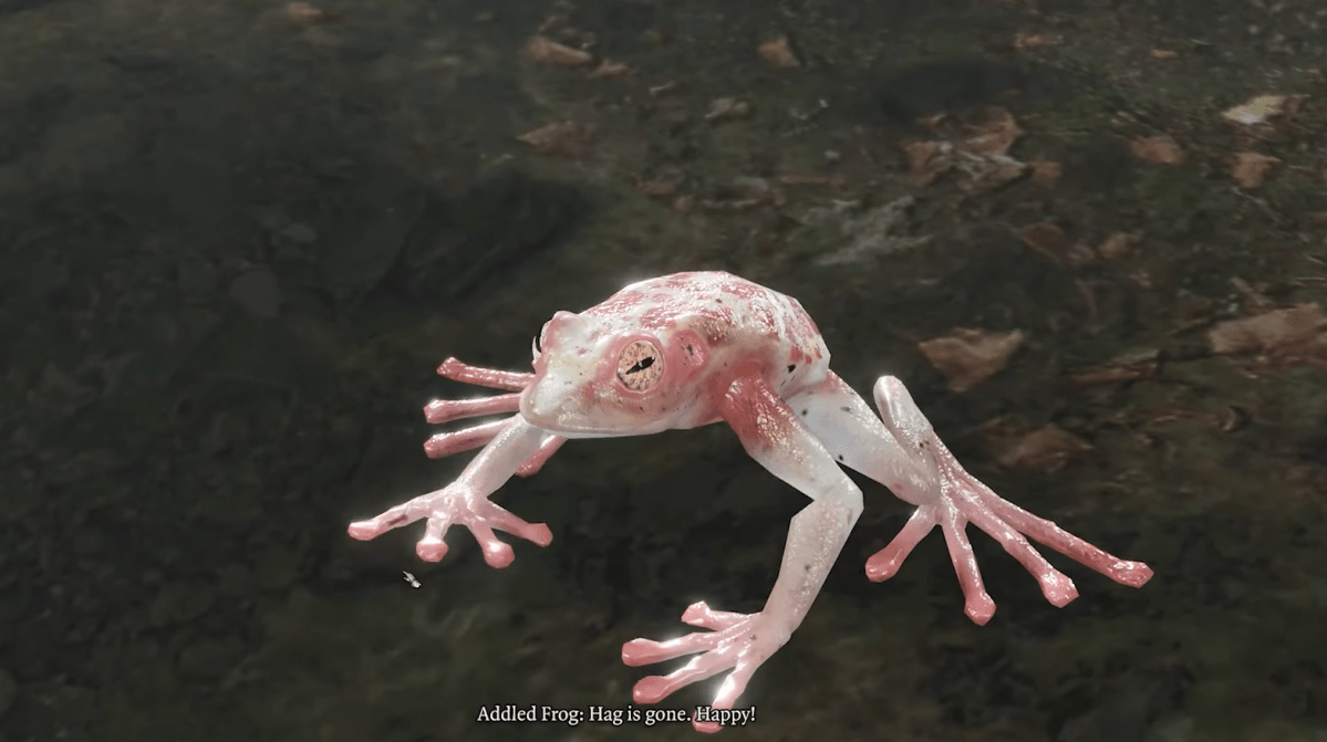 Image of a small, pale, pink and white frog.