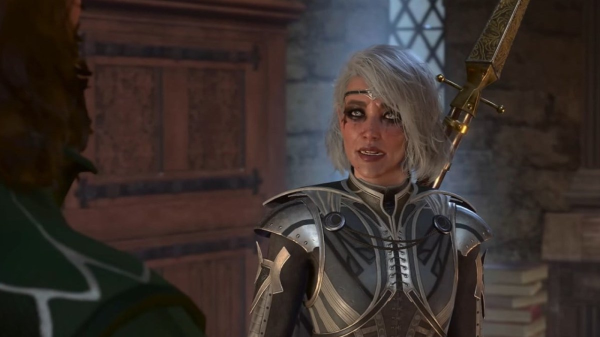 A humanoid-like Paladin character chatting in Baldur's Gate 3