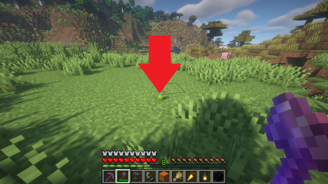 An experience orb floating on the grass with a red arrow pointing toward it.