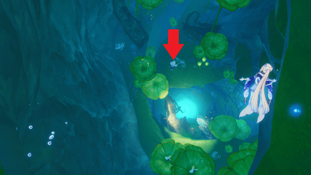 Kokomi swimming above a trench where the Fading Veteran is lurking below.