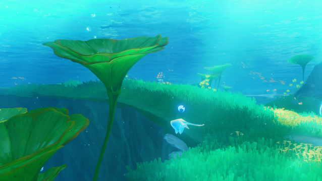 A Xenochromatic Hunter's Ray swimming underwater.
