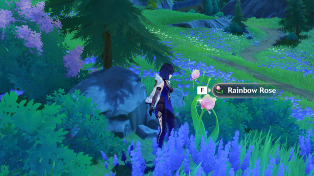 Yelan looking at a Rainbow Rose.