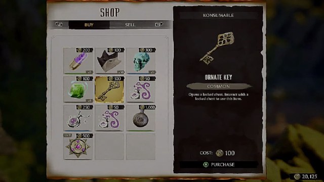 The image is of items in the menu of the game. The ornate key is displayed with stats and a description.