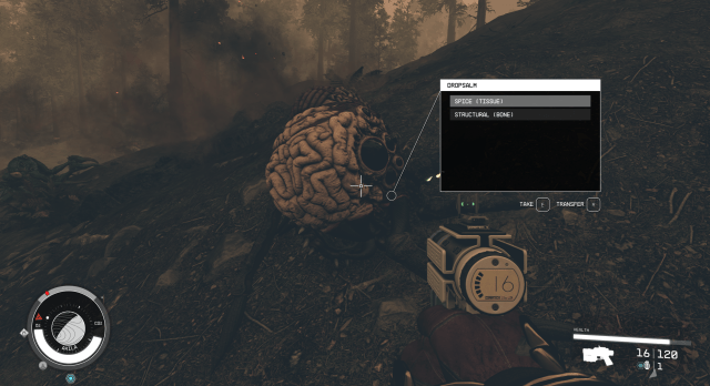 A screenshot from Starfield showing a dead alien creature that looks like a brain. A menu above the creature shows that it has spice in its inventory.