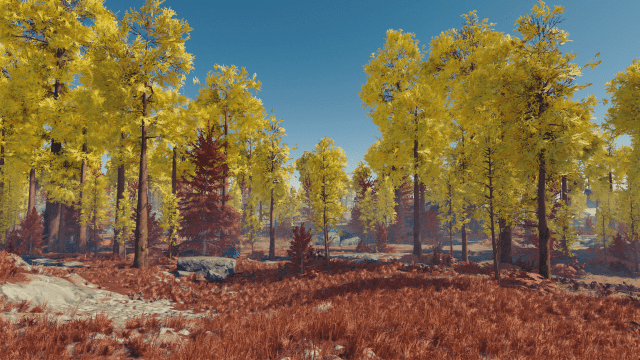 Image of lush trees filling a forested area.