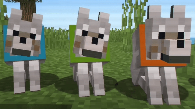 A line of Minecraft wolves with different colored collars. Screenshot via Minecraft YouTube.