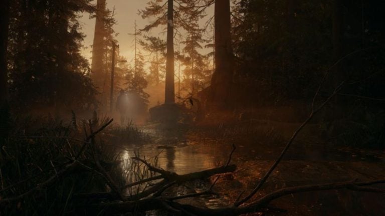 forest design in alan wake 2