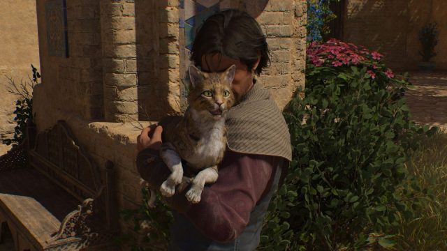 basim holding cat in assassin's creed mirage