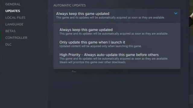 the automatic updates section for a game on steam