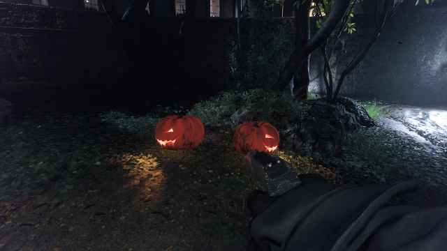 Two glowing pumpkins under the bush on Monaco