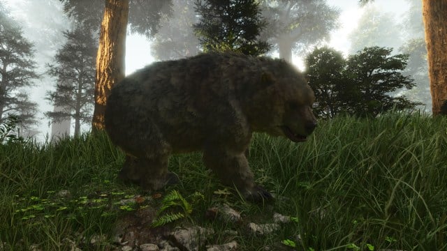 A Dire Bear walking through the Redwood forest in Ark: Survival Ascended.