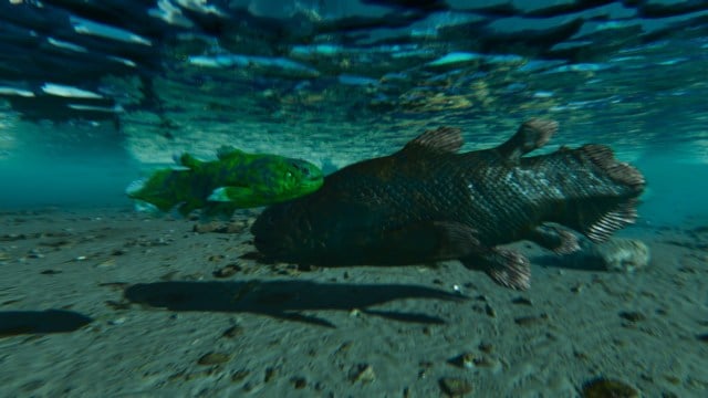 Two Coelacanth beneath the water in Ark: Survival Ascended.