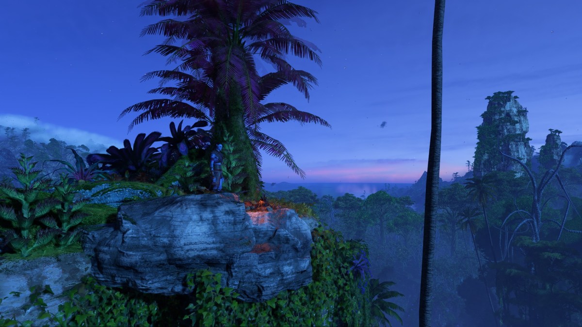 Noir's location in Avatar: Frontiers of Pandora