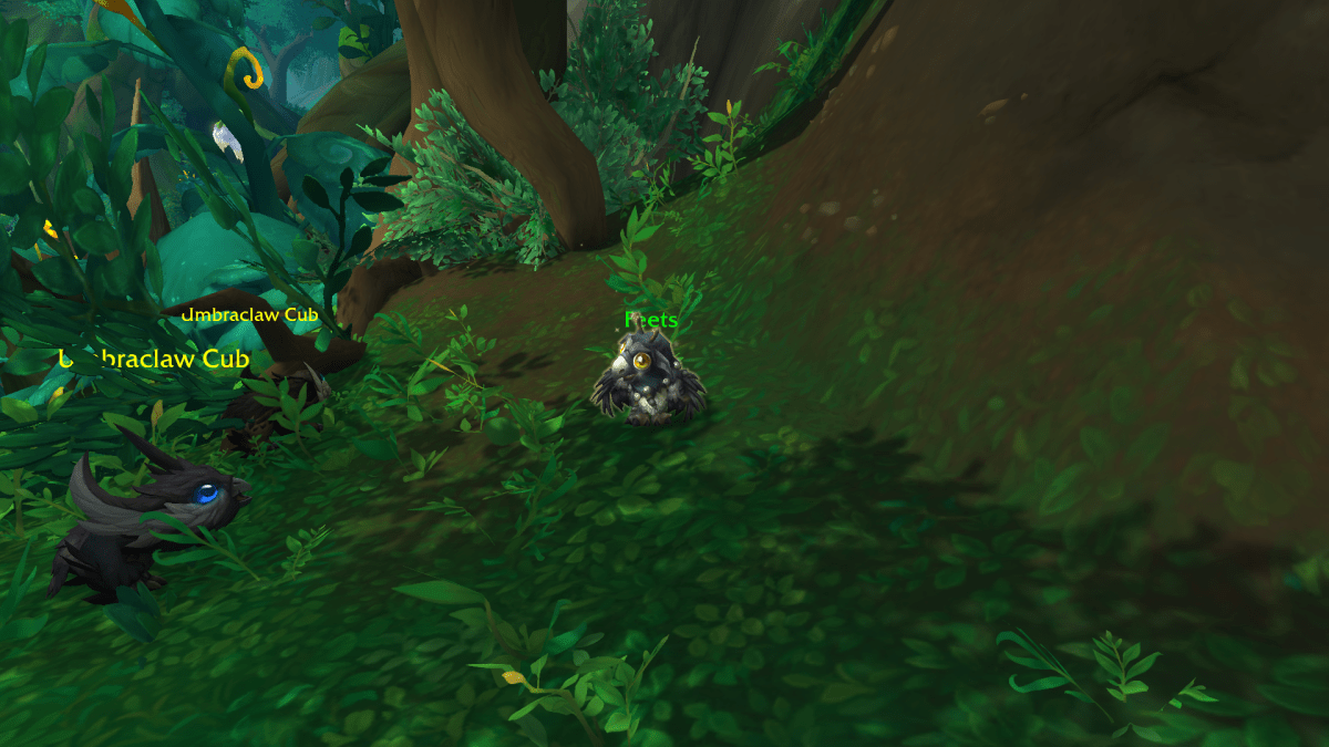 Moonkin Hatchling on their own in the Emerald Dream