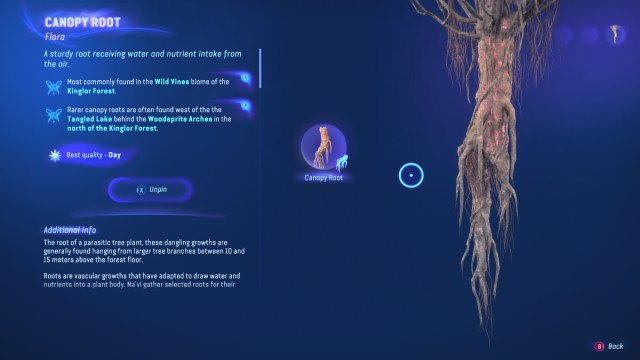 The Hunter's Guide entry for Canopy Root in Avatar: Frontiers of Pandora.