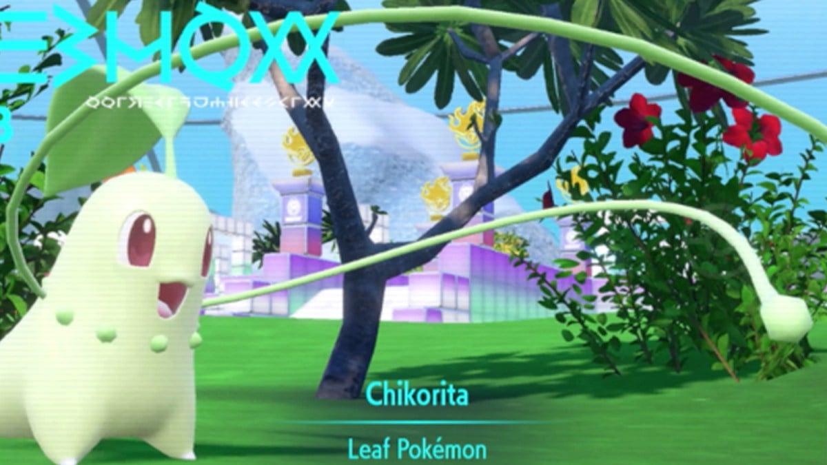 Chikorita The Indigo Disk