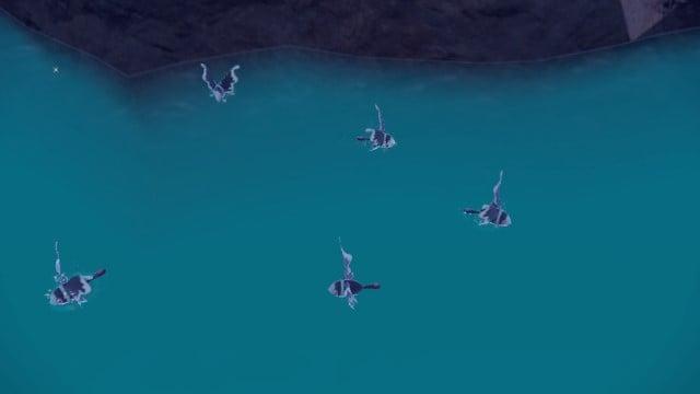 A group of black and glowing blue fish are observed from the sky in Pokémon Scarlet and Violet.