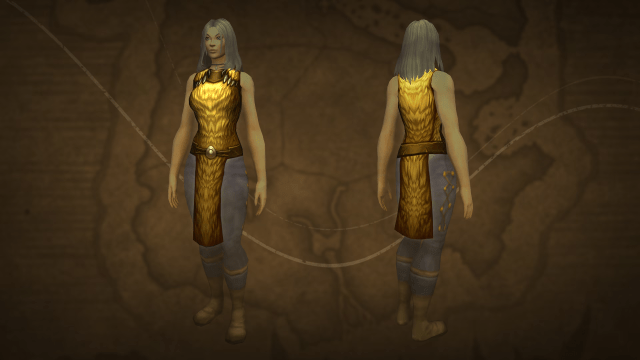 Female Human character wearing Tabard of Wild Might