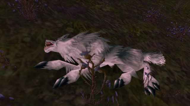 Dead wolf in WoW Classic Season of Discovery