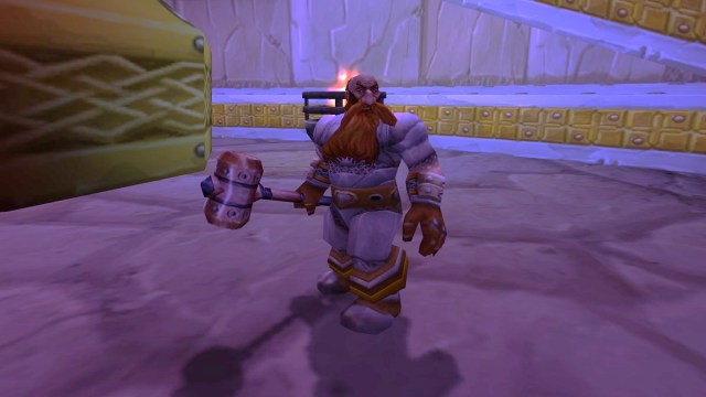 Paladin Trainer in Ironforge standing around