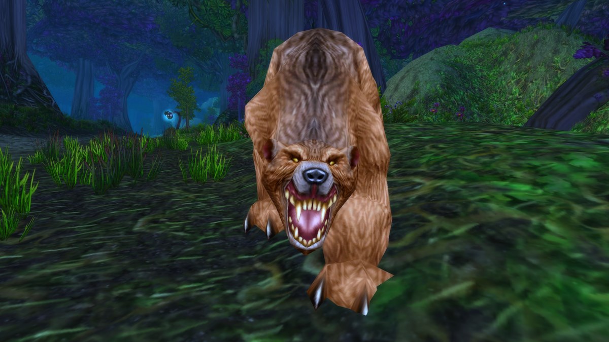 An Elder Ashenvale Bear coming towards the camera