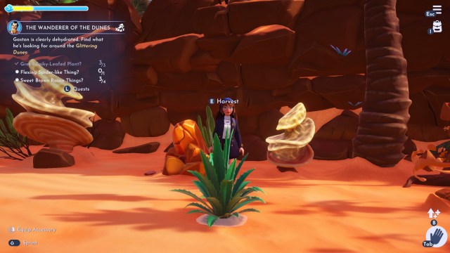 The player standing by Agave.